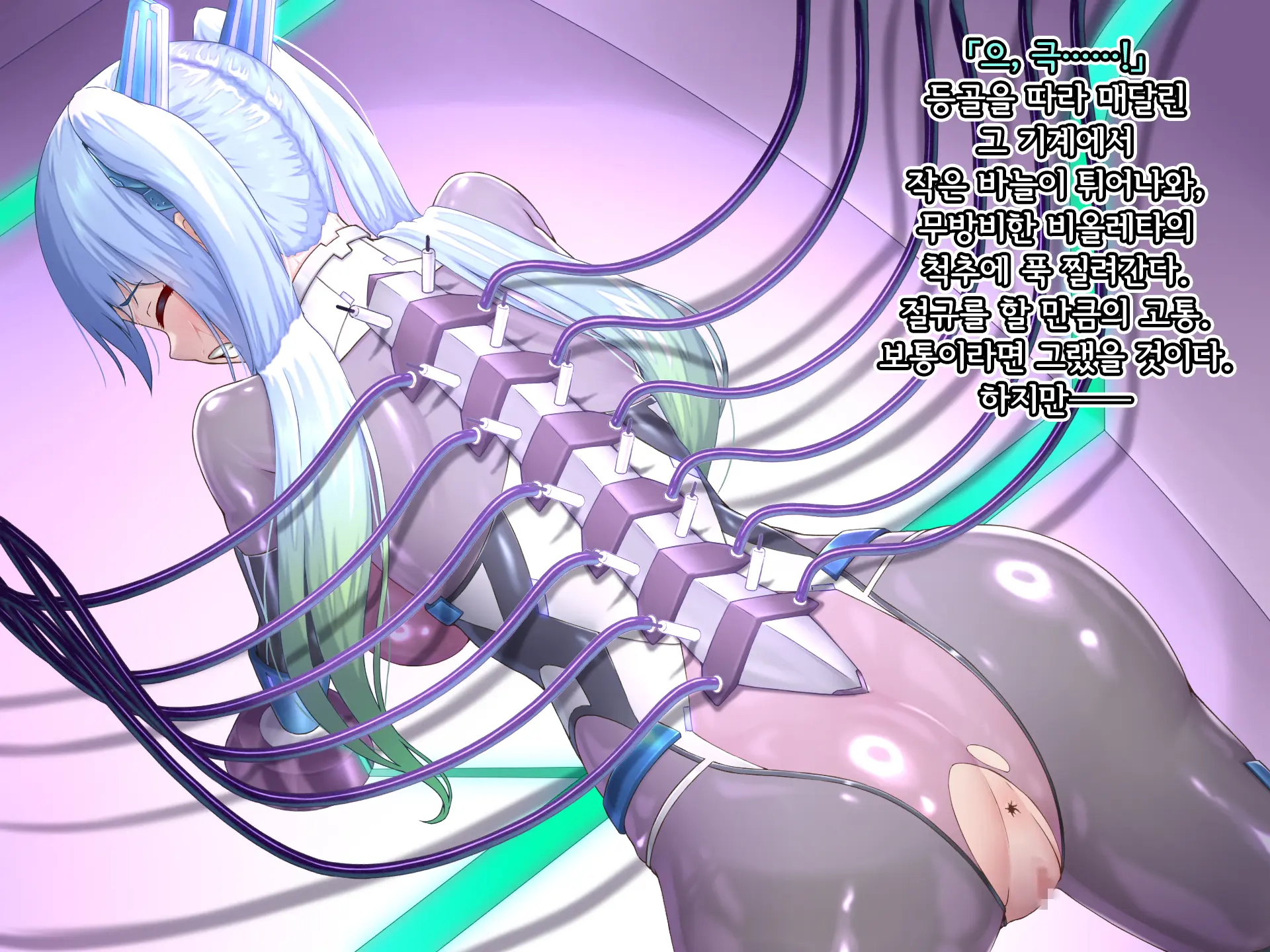 Eidos Arcadia -Kyoei Choukyou Reijuu No Denei Hime- | 에이도스 아르카디아 -허영조교 예속의 전영희-